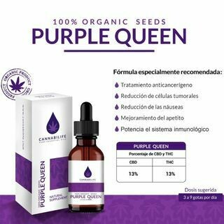 PURPLE QUEEN