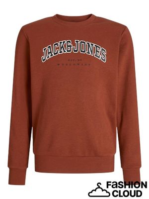 JACK & JONES  JJECALEB VARSITY SWEAT CREW