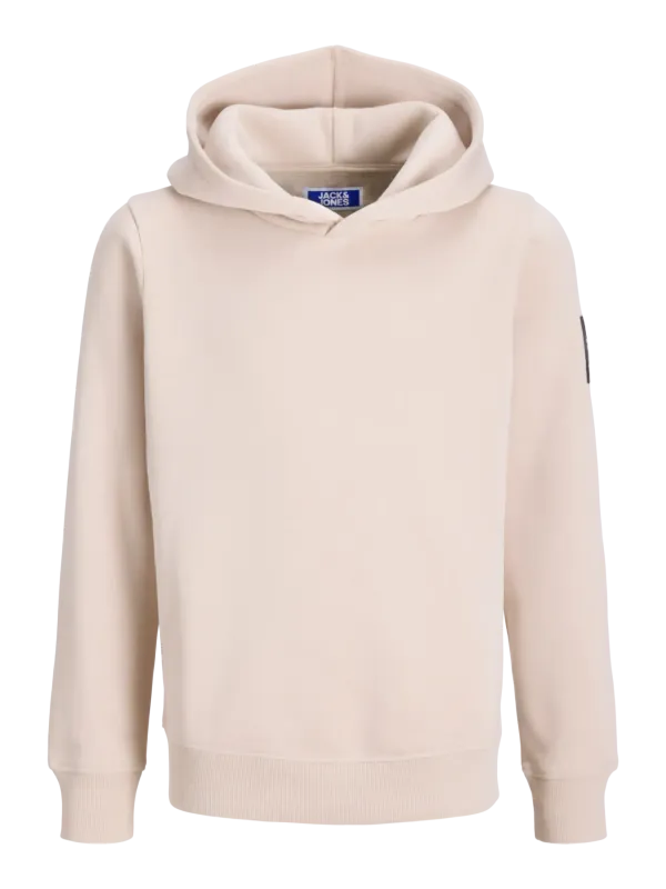 JACK & JONES JJCLEVELAND SWEAT HOOD SN JNR
