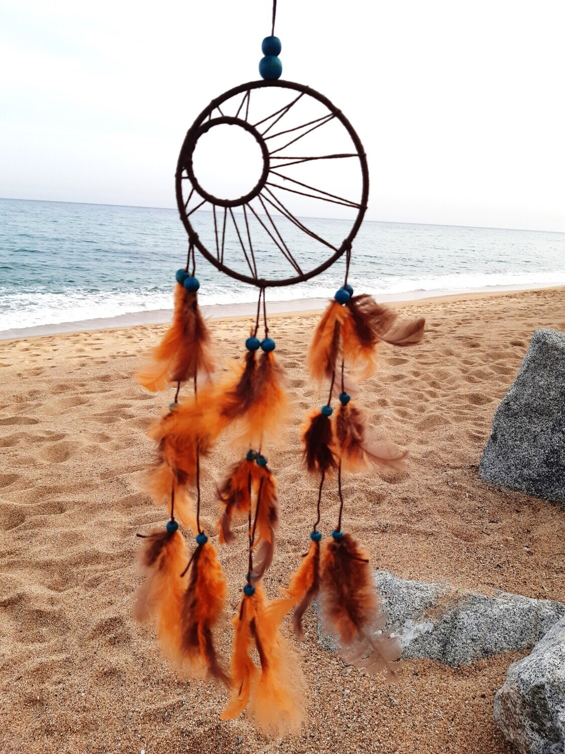 Dromenvanger Sole
