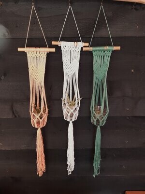 Potjes/Planten hangers
