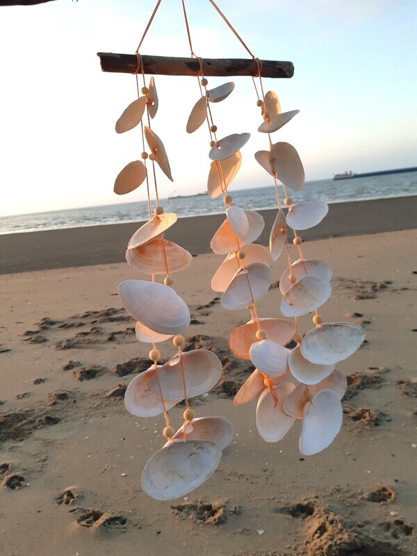 Schelpengong Pesca