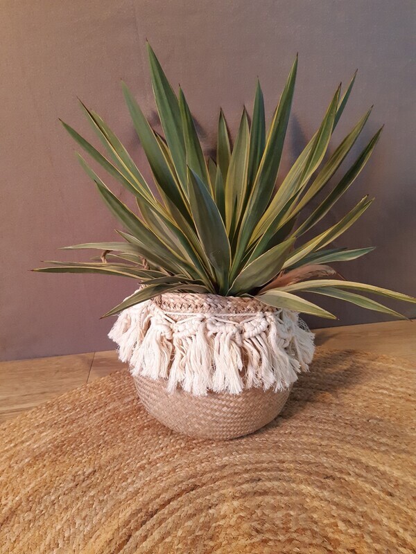 Boho mand zeegras met macramé
