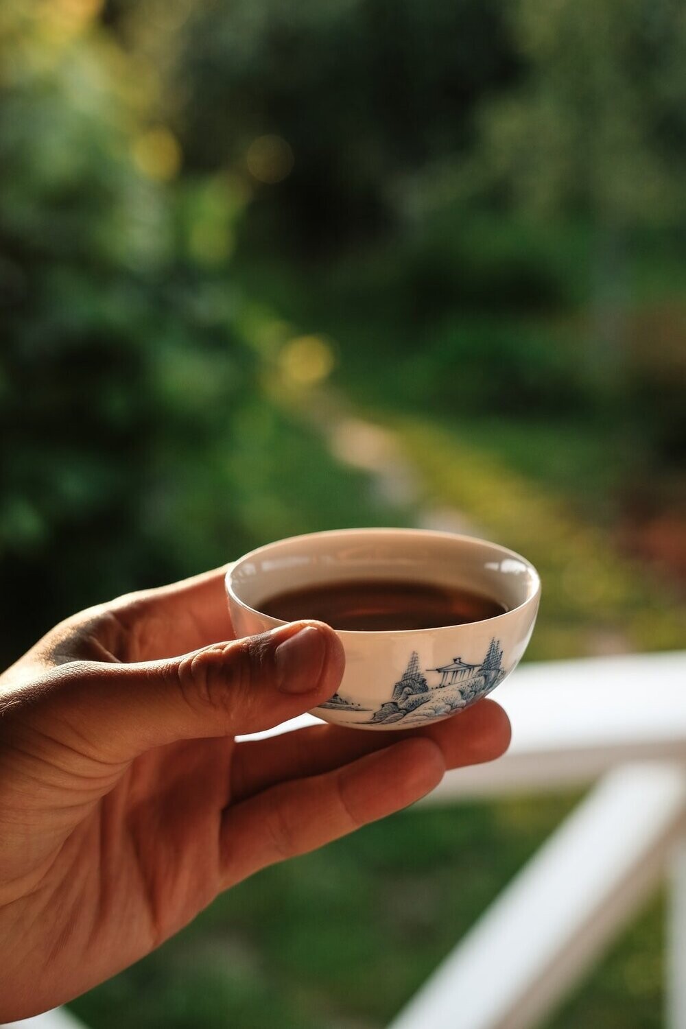 Taiwan High Mountain Oolong Tea | Shanlinxi  Altitude 1600m | Loose Leaves