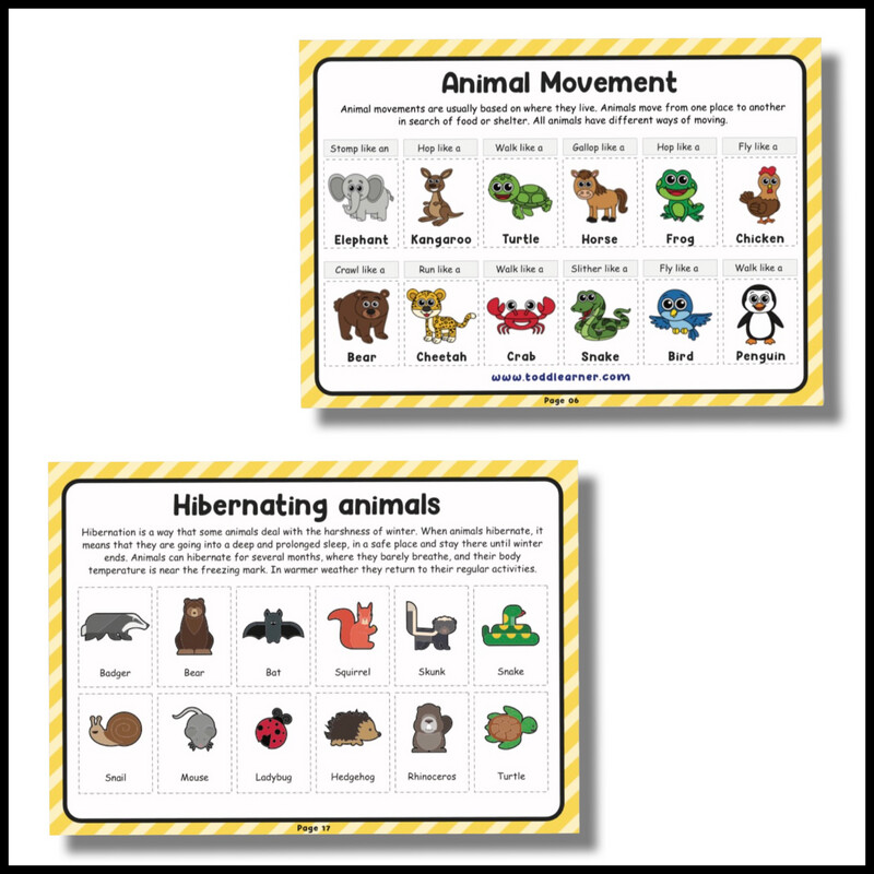 Life Science Learning Binder - Level 1