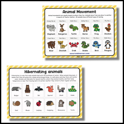 Life Science Learning Binder - Level 1