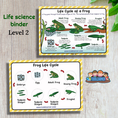 Life Science Learning Binder - Level 2