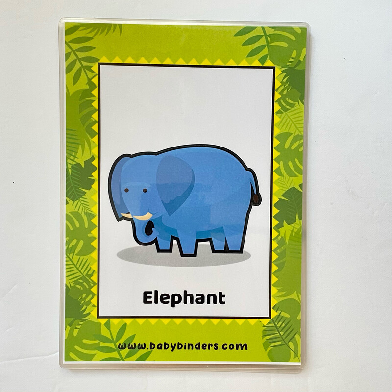 Zoo Animals Flash Cards (A5 Size)