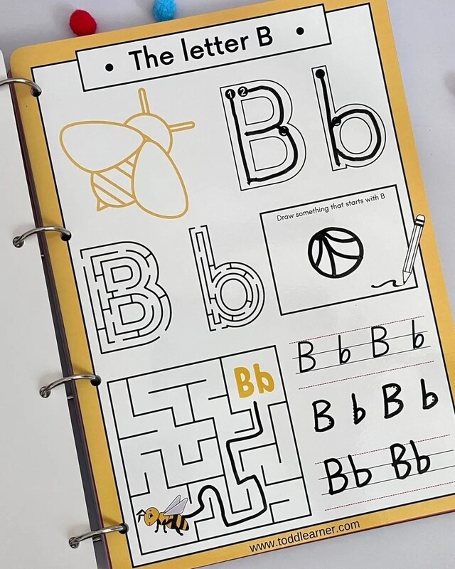 Write and Wipe Reusable English Writing Practice Binder for 3-4 Year Kids