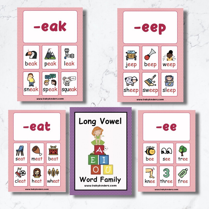 Reusable Long Vowel Word Family Cards