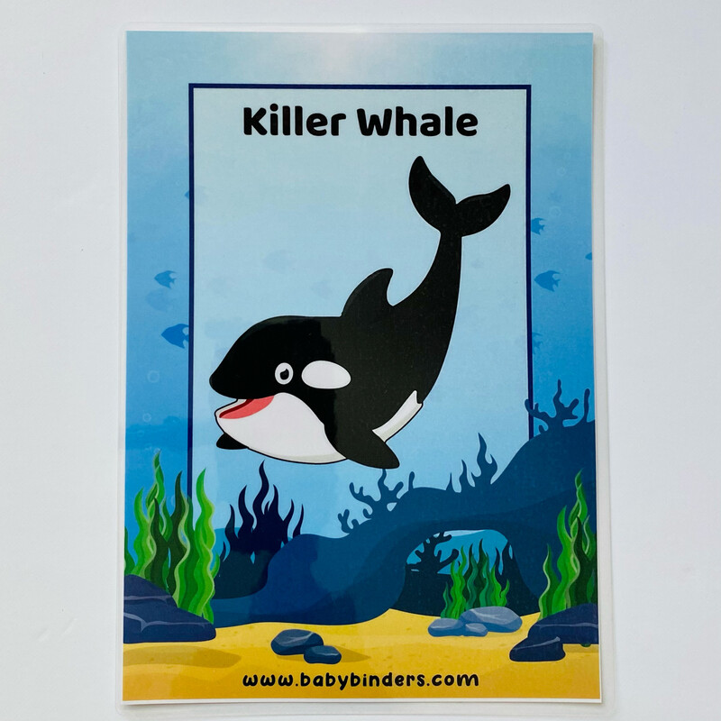Sea Animals Flash Cards (A5 Size)