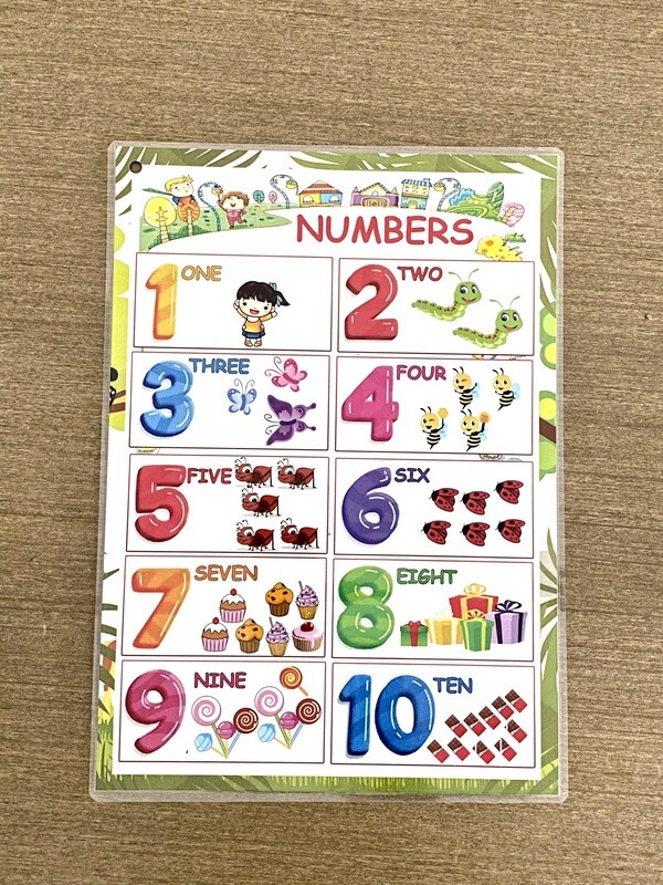 Toddler English Learning Poster Binder for Preschoolers and Toddlers