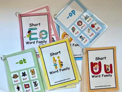 Reusable Short Vowel Word Families Cards