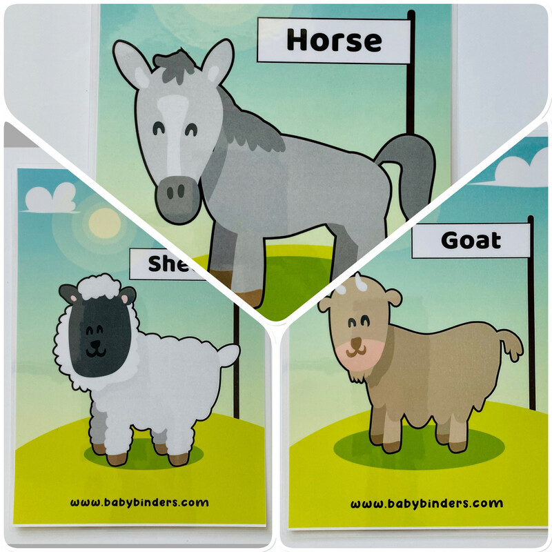Farm Animals Flash Cards