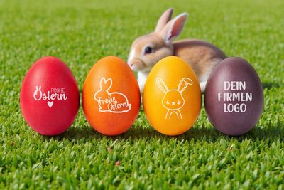 Eure Ostereier (gefärbte Eier müssen vom Kunden bereitgestellt werden) mit Logo/Motiv von uns graviert ab 10 Stück