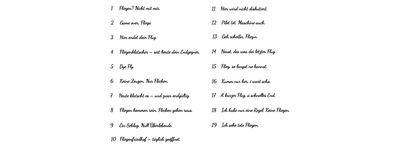 Fliegenklatsche mit Spruch – der stilvolle Endgegner für jede Fliege