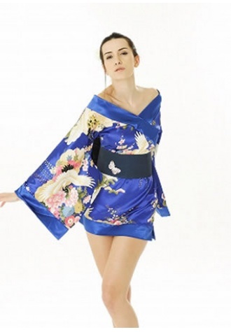 Sexy Kimono Costume