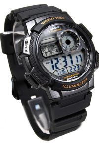 CASIO