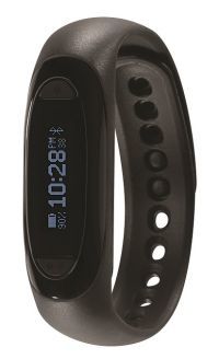 Soleus