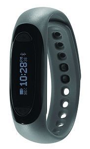 Soleus