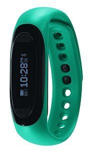 Soleus