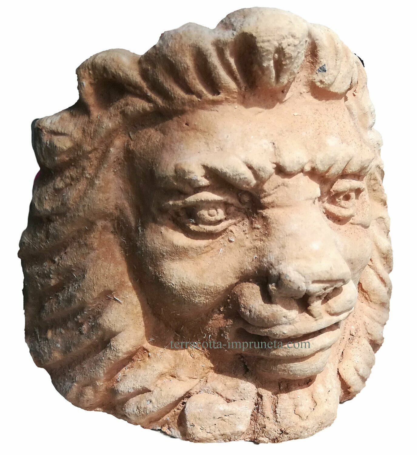 Piedini testa leone - Terracotta-Fuss mit Löwenkopf Piedini testa leone - Terracotta-Fuss mit Löwenkopf