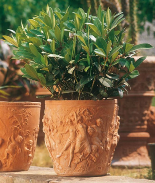 Vaso 4 stagioni - Terracotta-Vase - 4 Jahreszeiten Vaso 4 stagioni - Terracotta-Vase - 4 Jahreszeiten