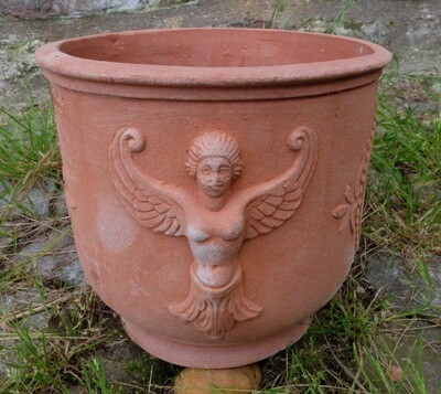 vaso arpie - Topf mit bösen Weibern vaso arpie - Topf mit bösen Weibern