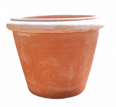 Vaso camelia - Terracotta-Topf Vaso camelia - Terracotta-Topf