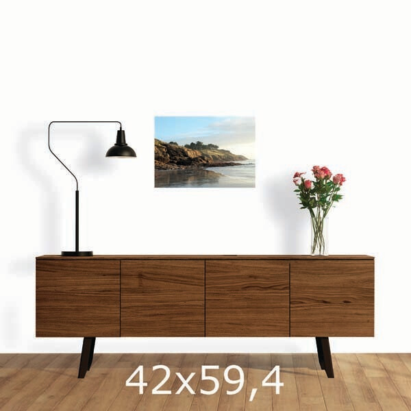 FA 42x59.4