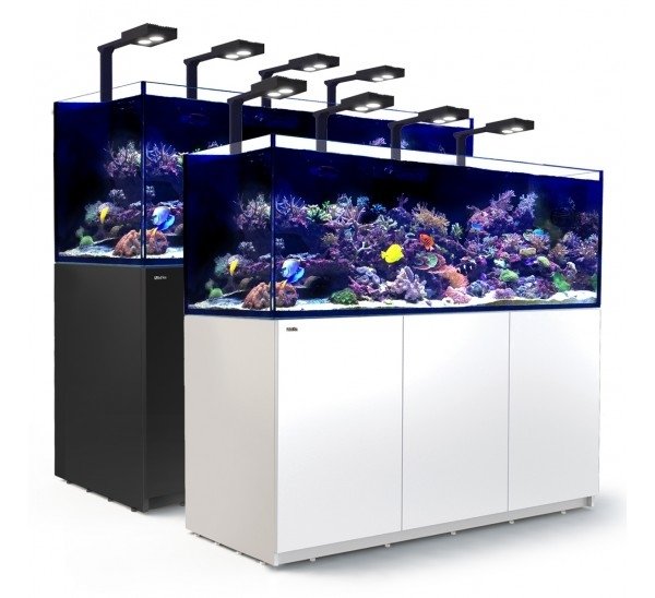 Red Sea Reefer Deluxe Complete LED Marine Reef Aquariums Red Sea Reefer Deluxe Complete LED Marine Reef Aquariums