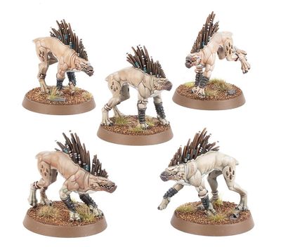 T'AU EMPIRE: KROOT HOUNDS