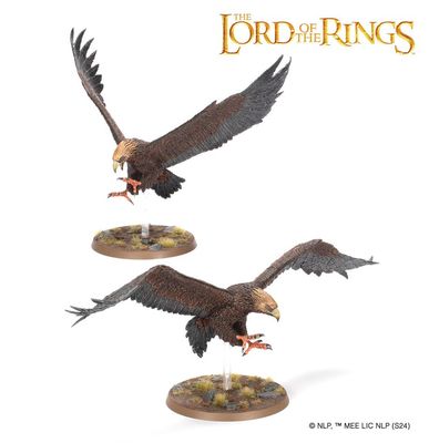 M-E SBG: GREAT EAGLES