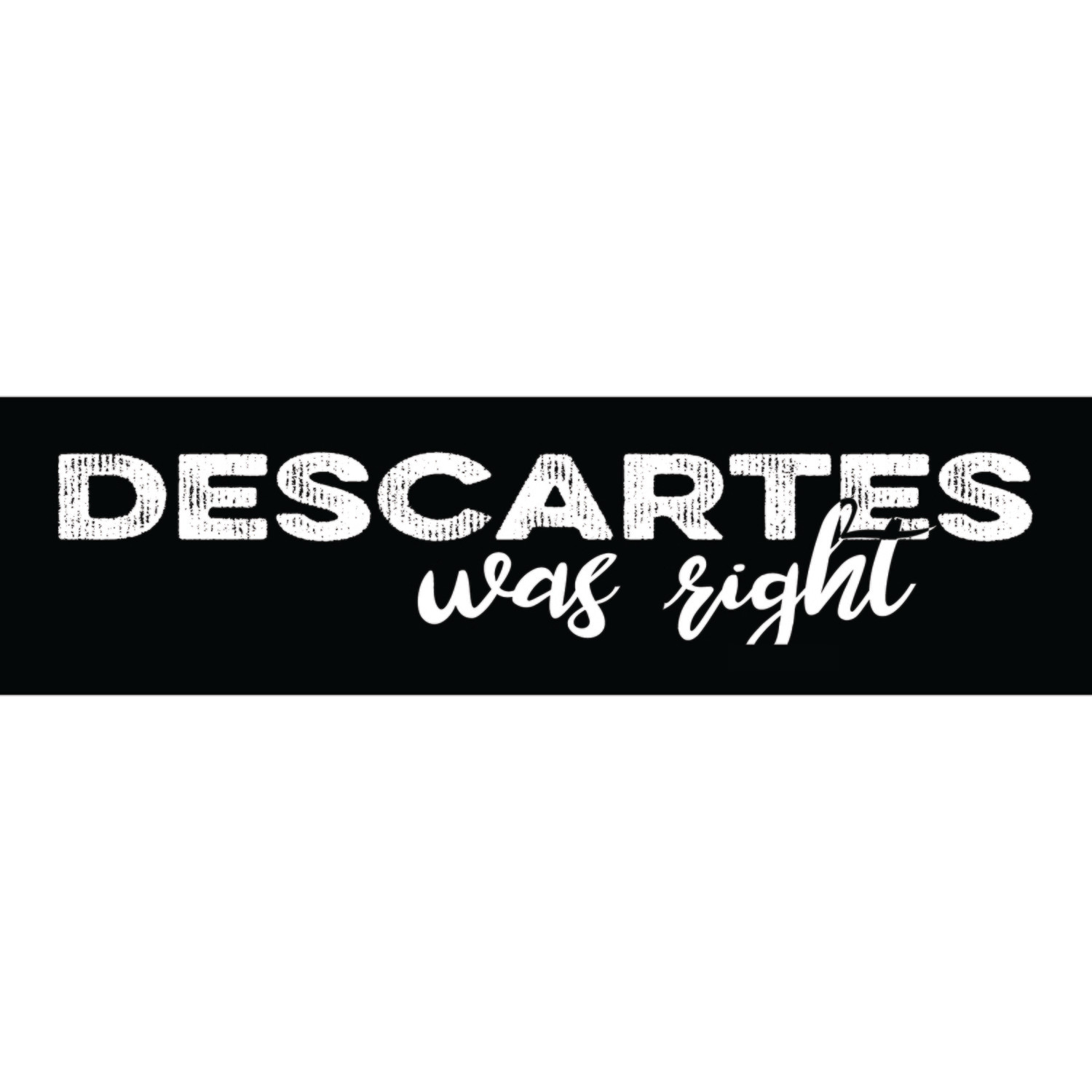 Descartes was Right