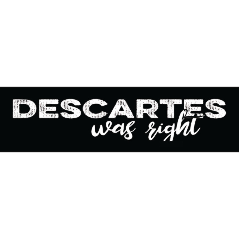 Descartes was Right