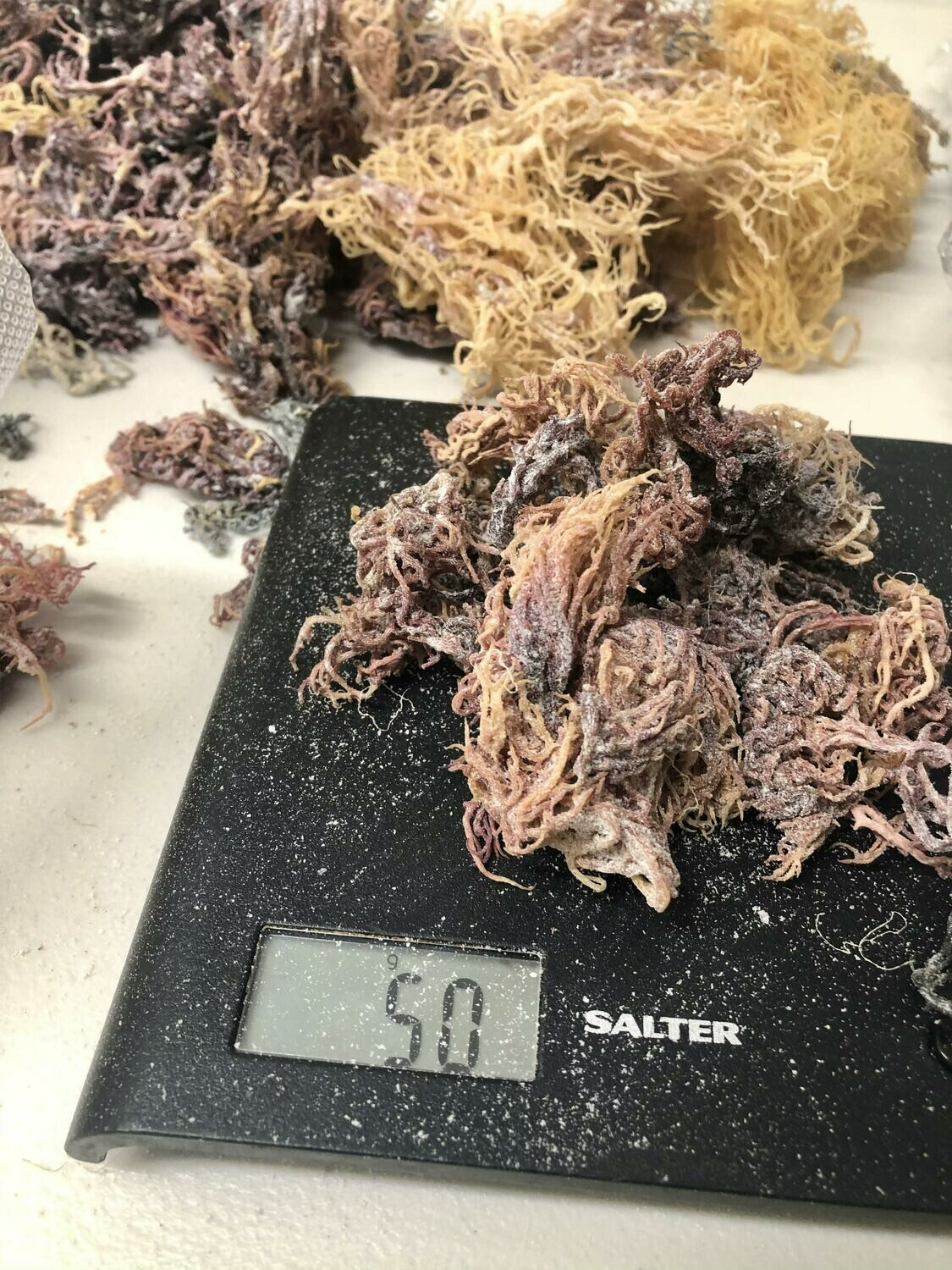 100% Organic Wildcrafted Puprle Sea Moss (50g)