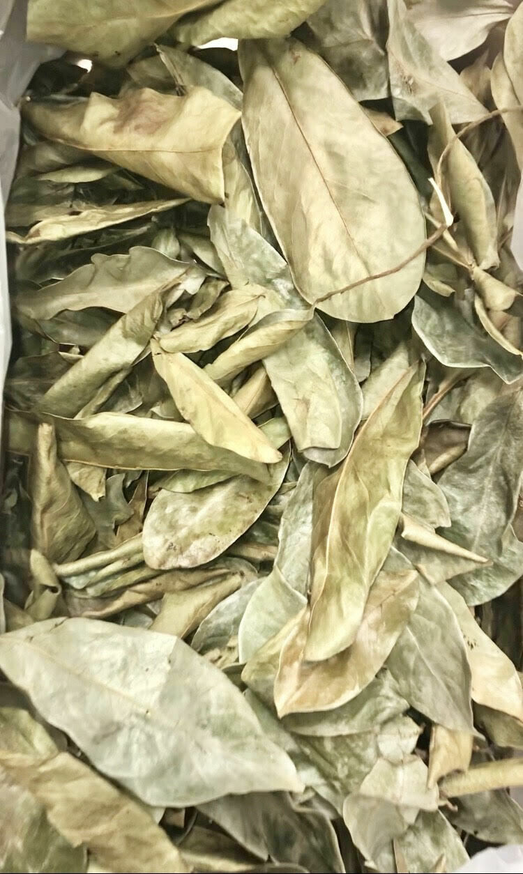 100% Organic St Lucian Dried Soursop Leaves