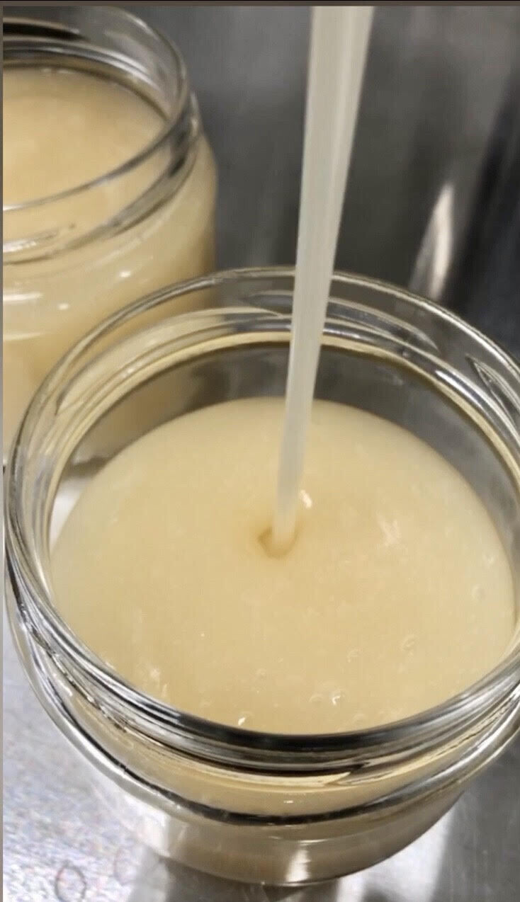 Plain Sea Moss Gel