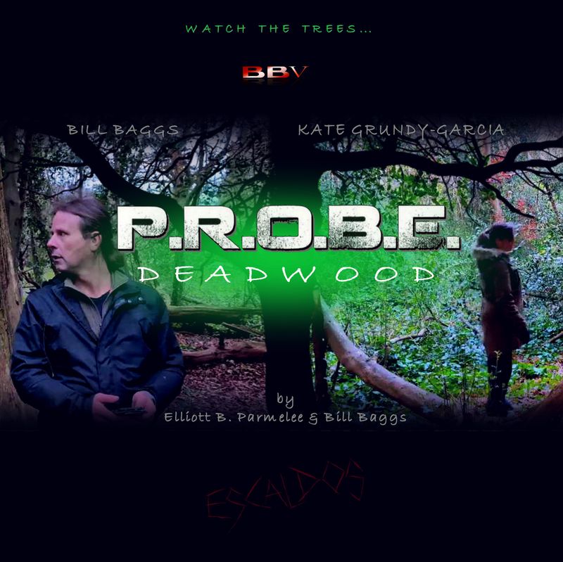 PROBE: Deadwood (VIDEO DOWNLOAD)