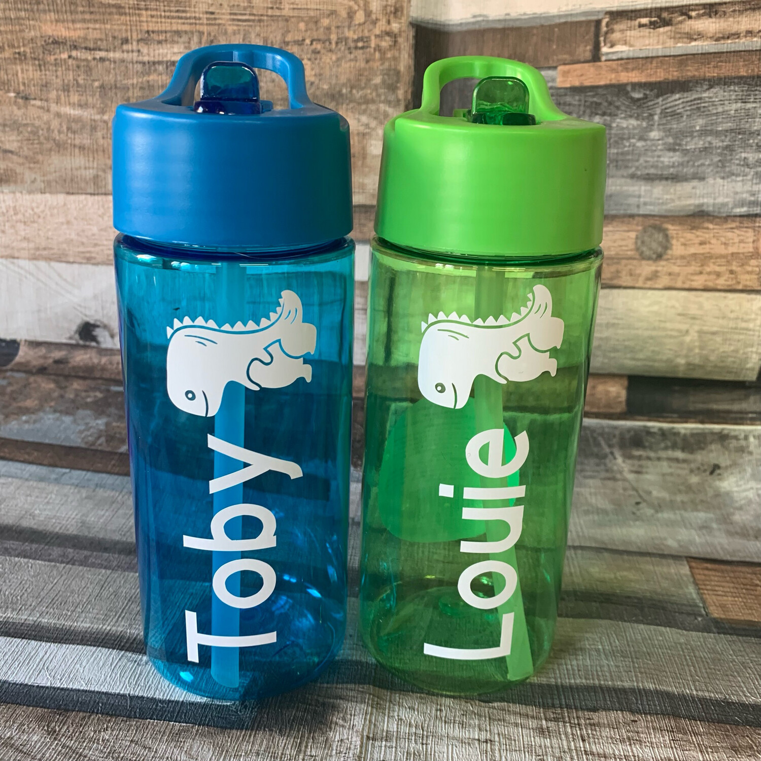 Personalised water bottle with dinosaur