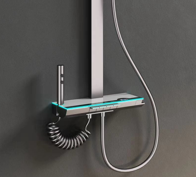 საშხაპე მოწყობილობა SM