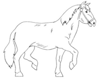 Haustiere