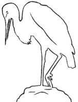 Tiere zum Aufstellen