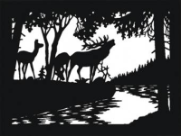 Wand- und Fensterbild Wand- und Fensterbild "Wild 6"
