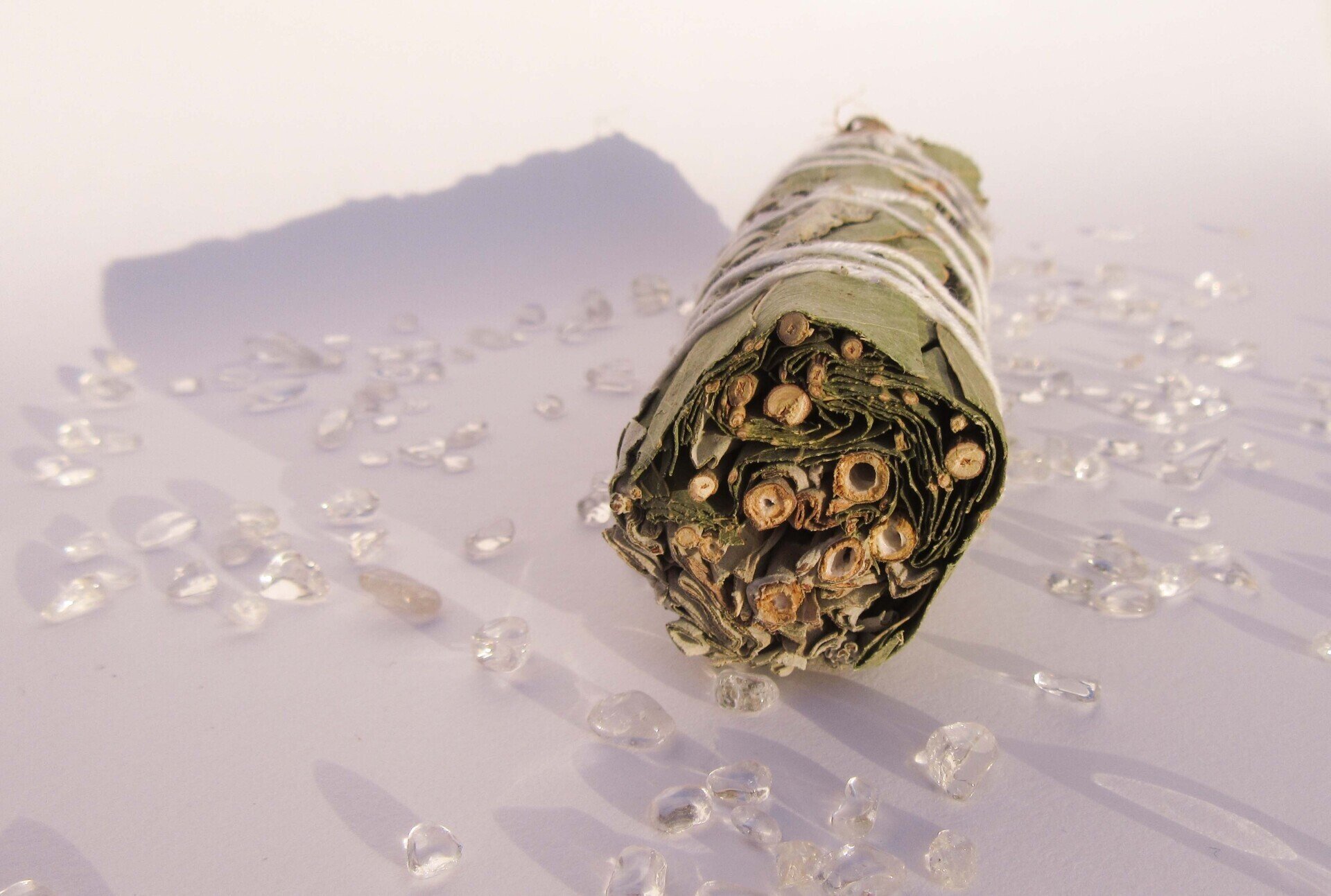 Witte Salie Eucalyptus Smudge Stick