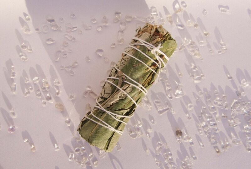 Witte Salie Eucalyptus Smudge Stick