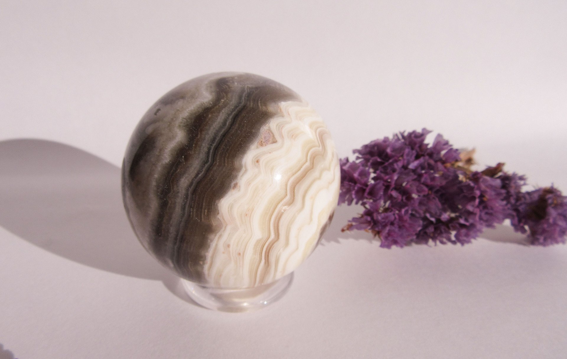 Zabra Calciet Bol Nr. 2