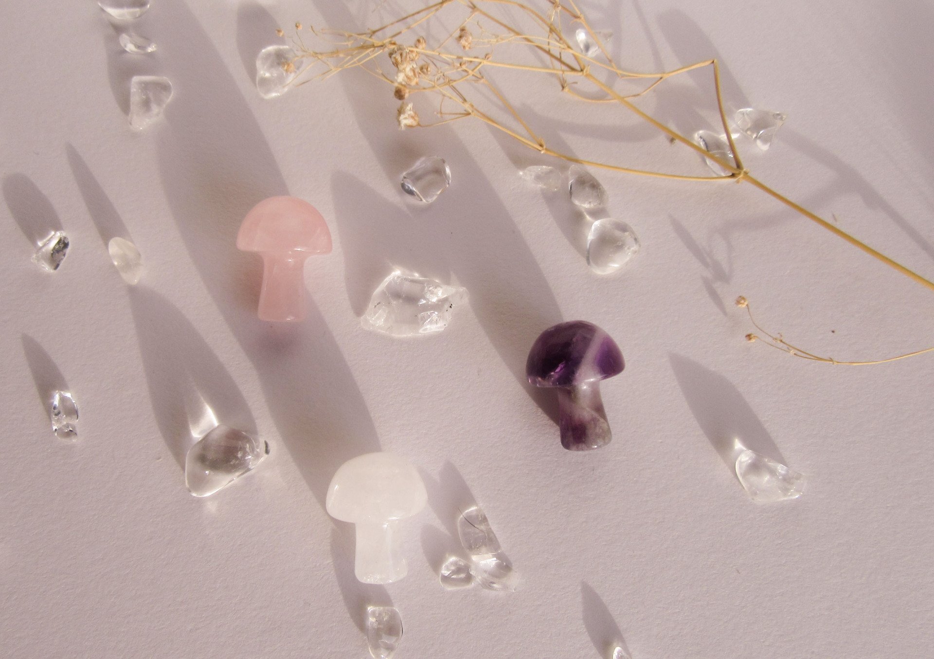 Gouden Driehoek Paddenstoeltjes