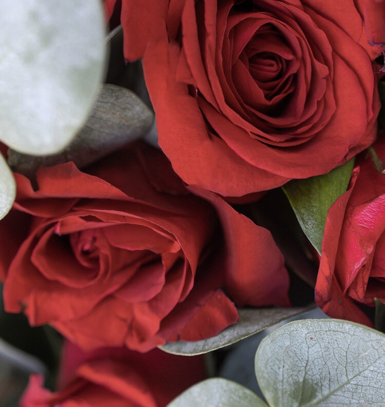 RAMO DE 24 ROSAS ROJAS 🌞