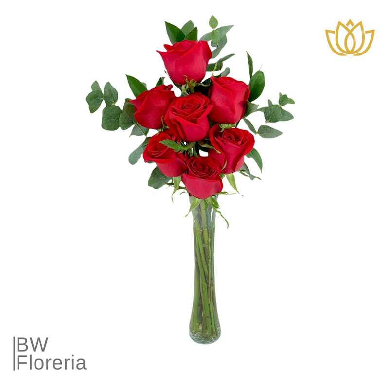 9 Rosas Rojas